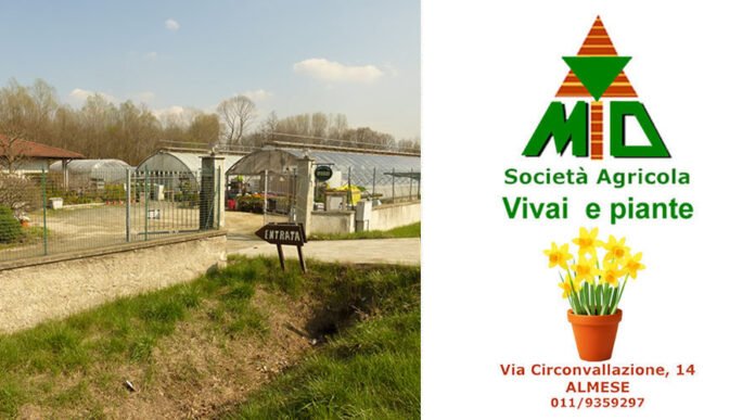 Vivaio Gulli Almese