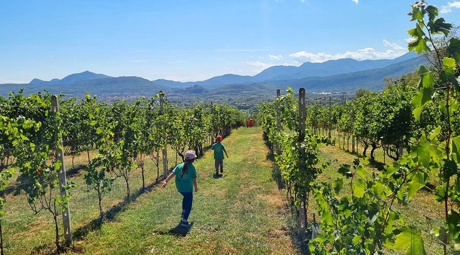 Scuola dell'Infanzia Riva Rocci