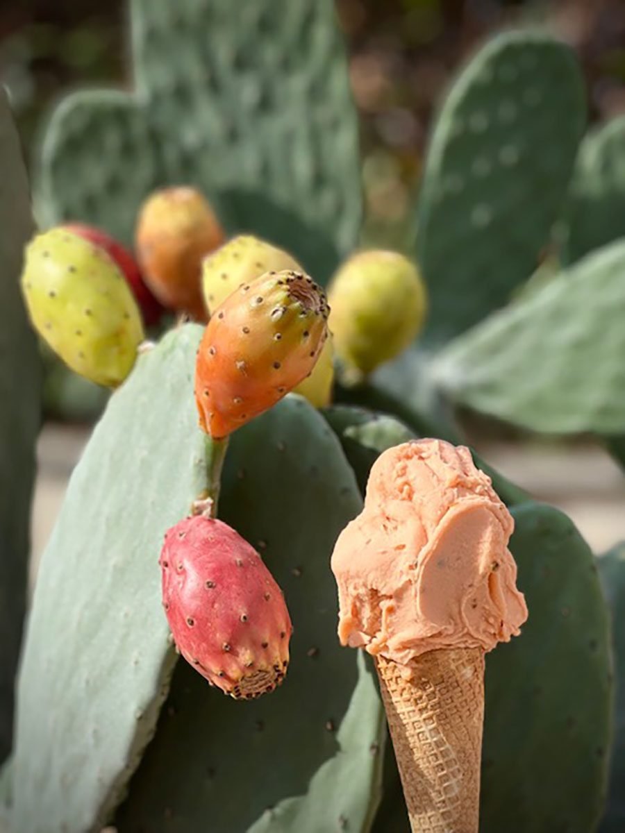 Gelateria Via Mazzini