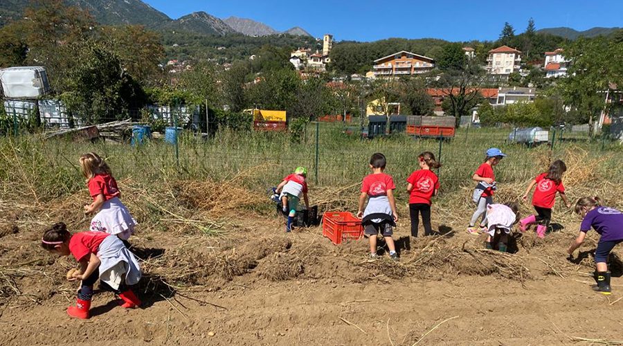 Scuola dell'Infanzia Riva Rocci