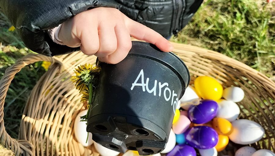 Scuola Riva Rocci Almese