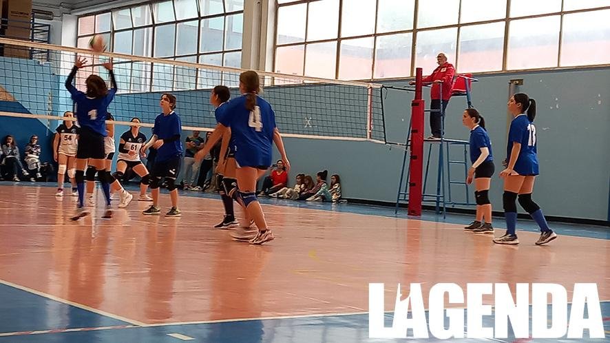 avigliana volley