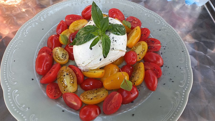 Nelida Bistrot