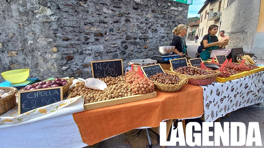 Villar Focchiardo Sagra del Marrone castagne