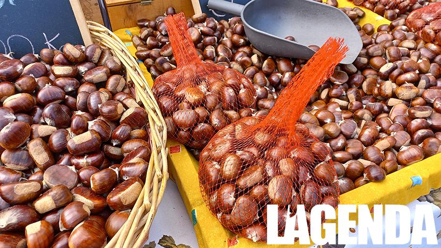 Villar Focchiardo Sagra del Marrone castagne