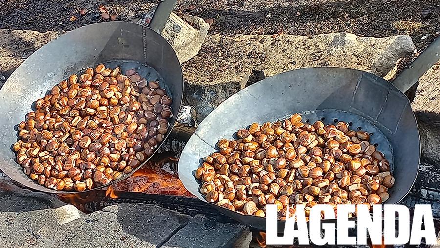 Villar Focchiardo Sagra del Marrone castagne