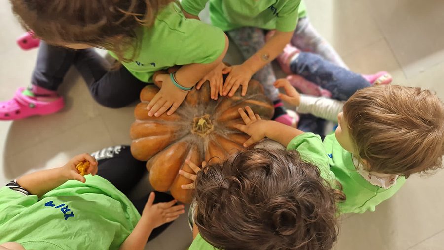 Scuola Riva Rocci Almese