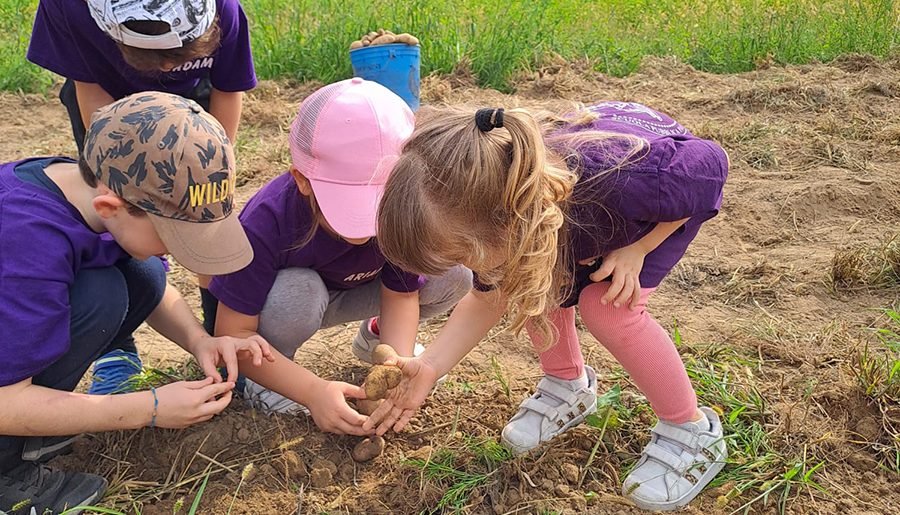 Scuola Riva Rocci Almese