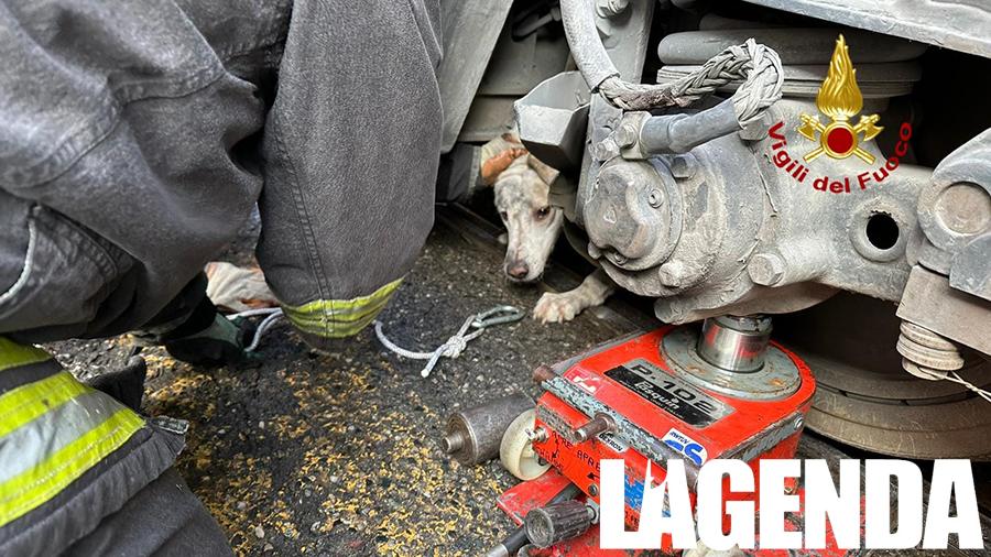 Vigili del Fuoco