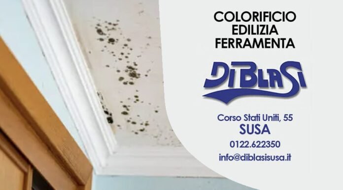 Colorificio Di Blasi