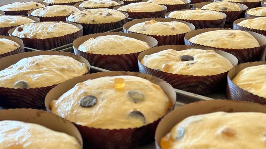 Pasticceria Alternino