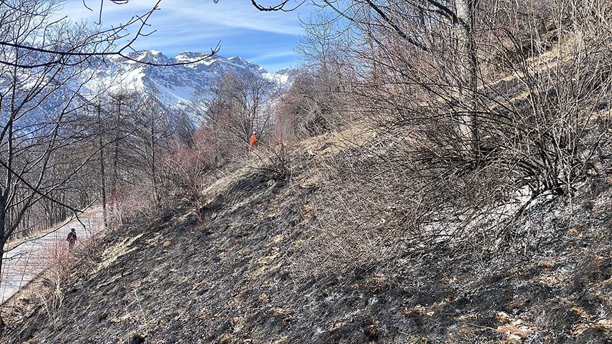 AIB a Bardonecchia