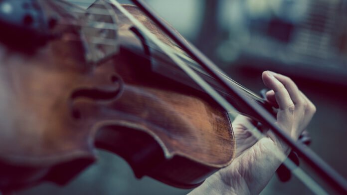 violino