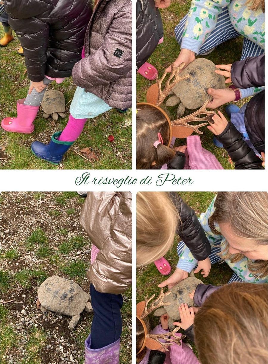 Asilo Picco Avigliana