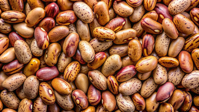 fagioli