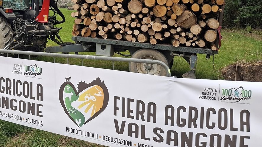 Fiera Agricola Valsangone