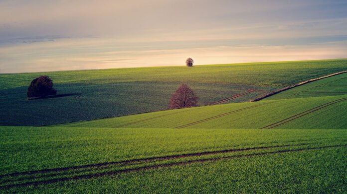 prati pianeta terra