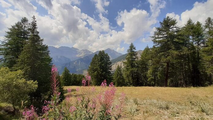 Bardonecchia