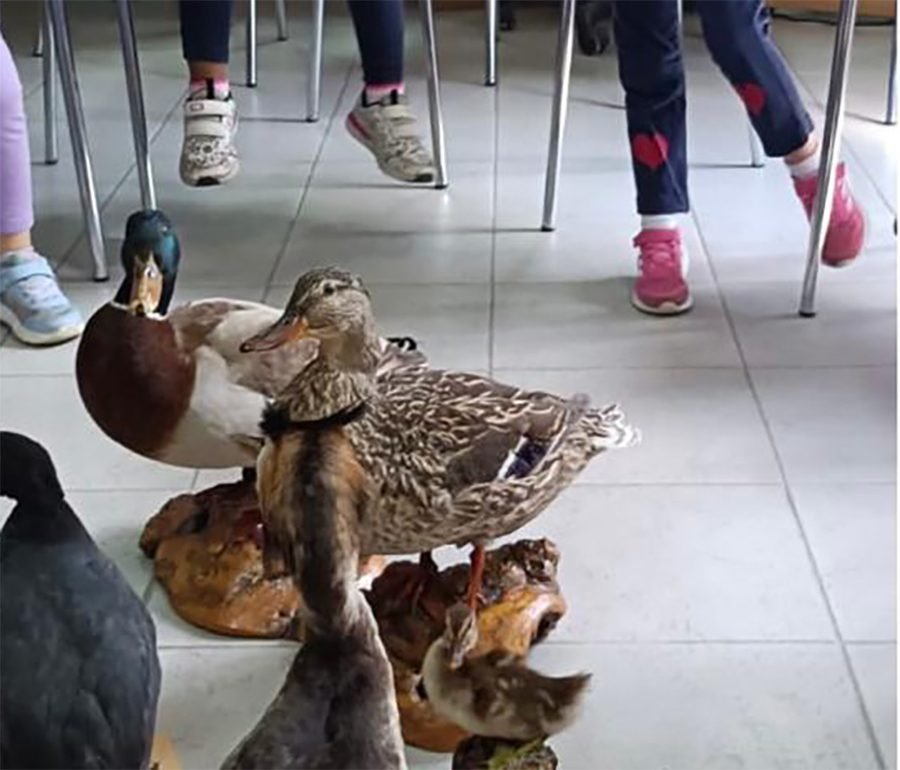 Asilo Picco Avigliana