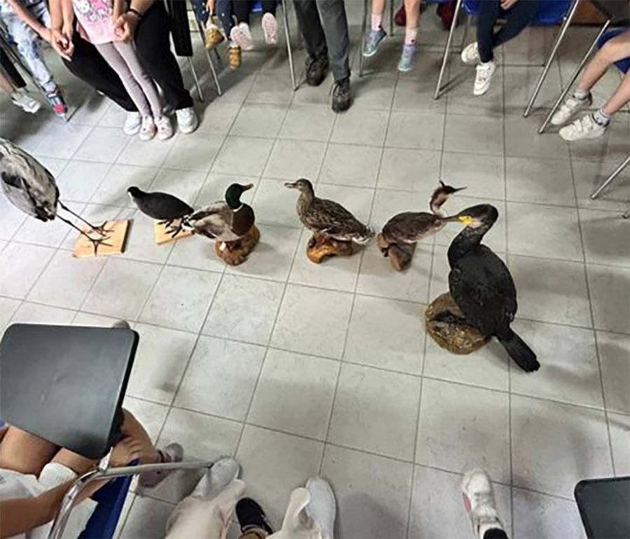 Asilo Picco Avigliana