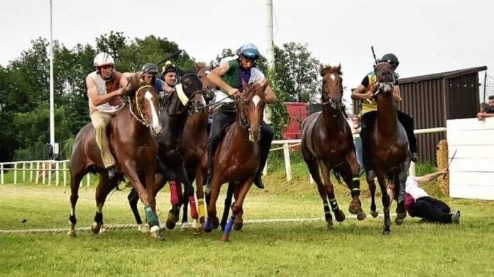 Palio di Avigliana (foto Goghero)