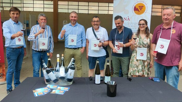 Il vino a Condove