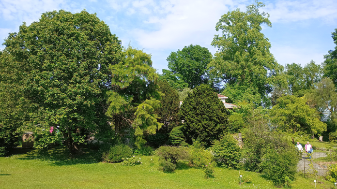 Giardino Botanico Rea