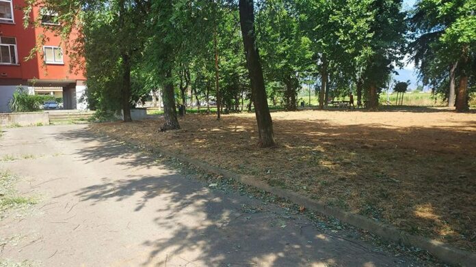 Parco al Maiasco