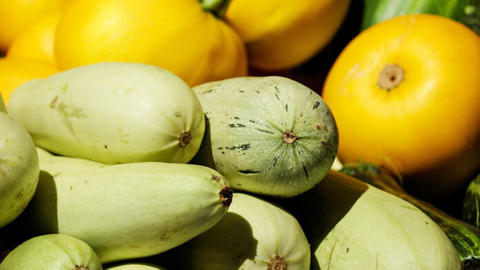 Zucchine
