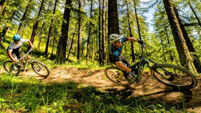 Enduro in bike