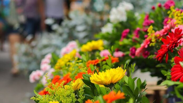 I fiori