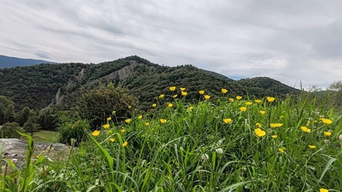 Meteo Valsusa