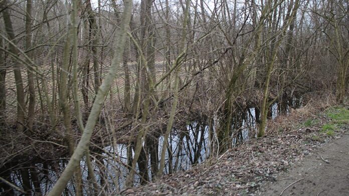 Canale Naviglia ad Avigliana