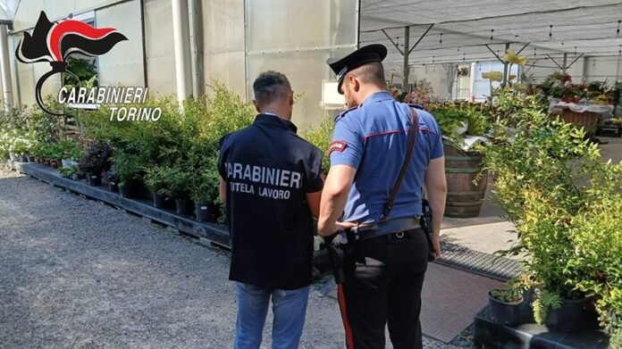 Carabinieri nelle aziende agricole