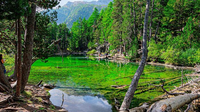 Lago Verde a Bardonecchia