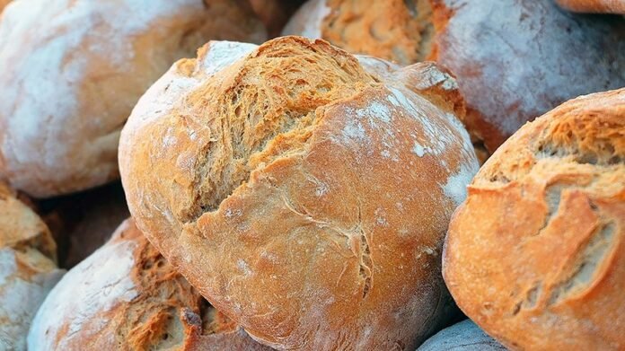 Pane