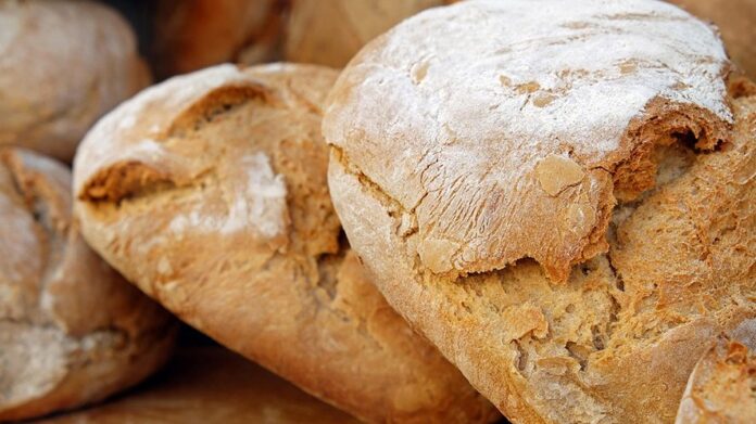 Pane