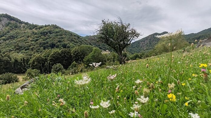 Meteo Valsusa