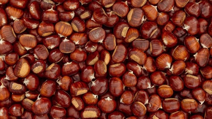 Castagne