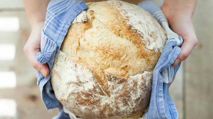 Pane