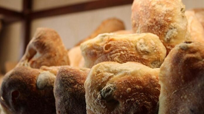 Pane