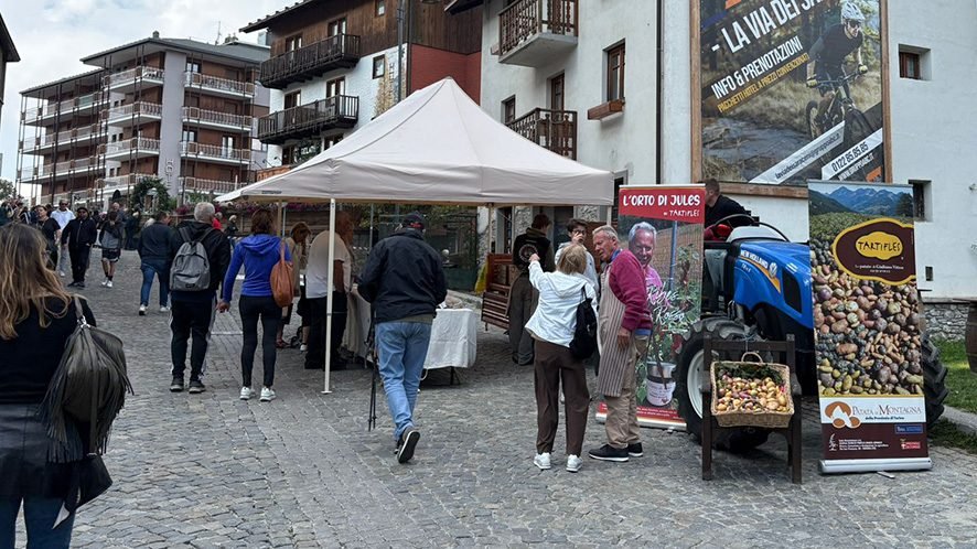 Sauze, Sagra della Patata
