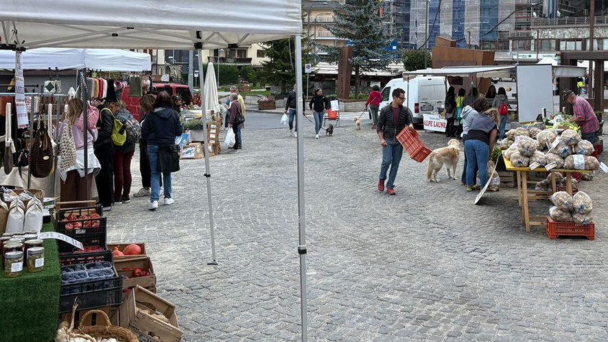 Sauze, Sagra della Patata