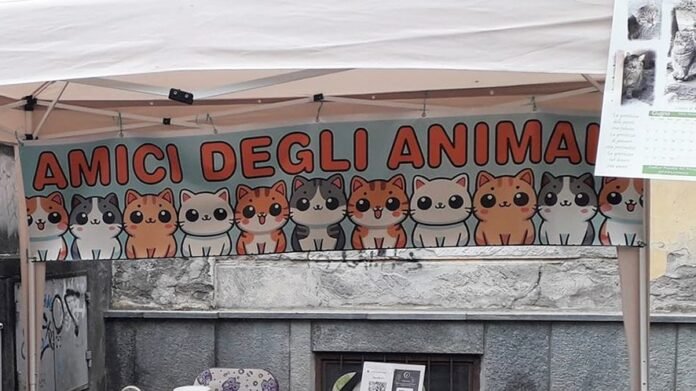 Amici animali