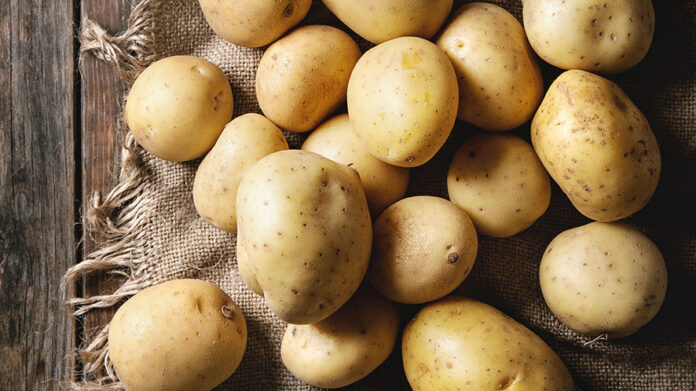 Patate