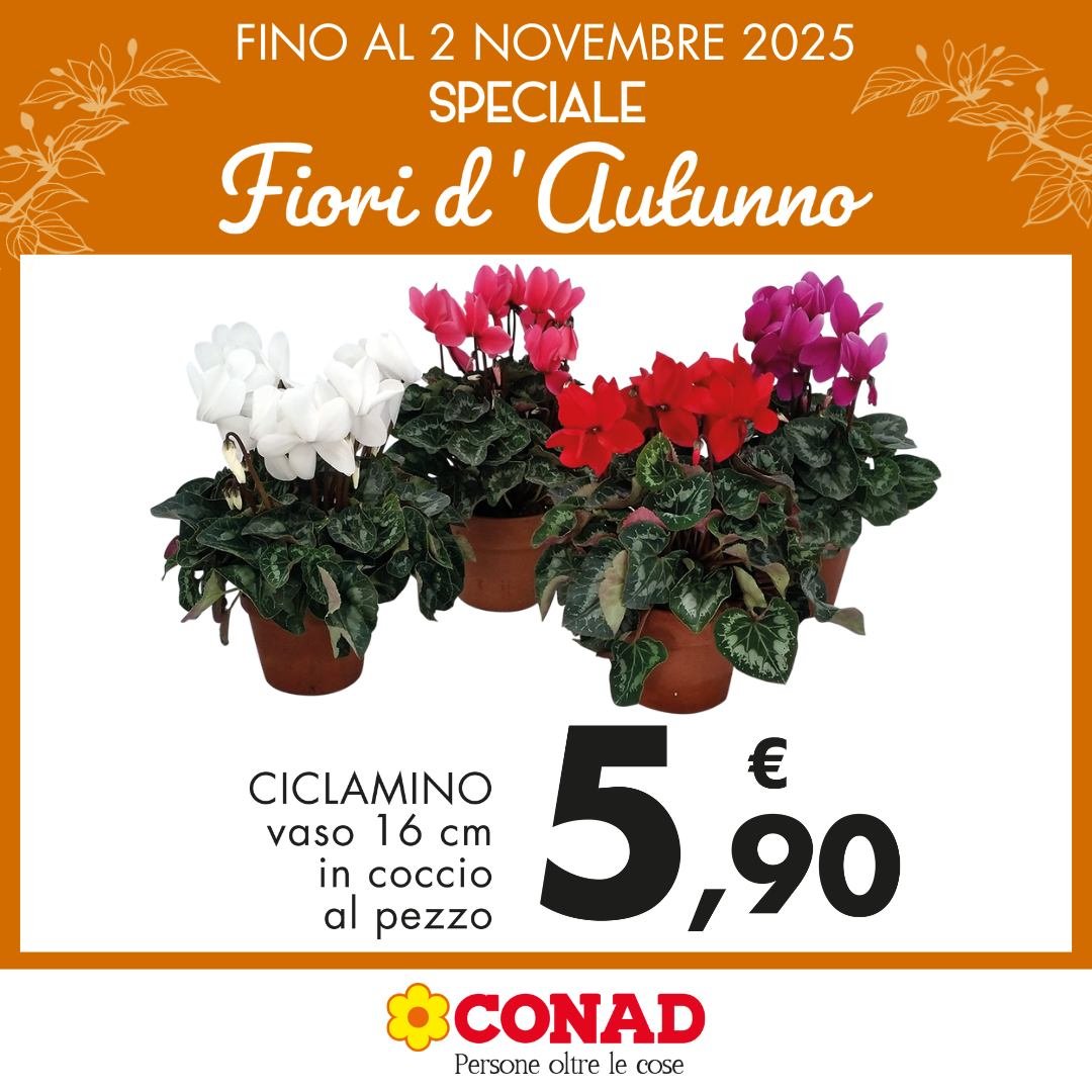 Iper Le Baite Oulx Conad