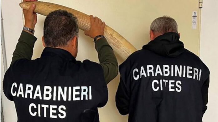 Carabinieri