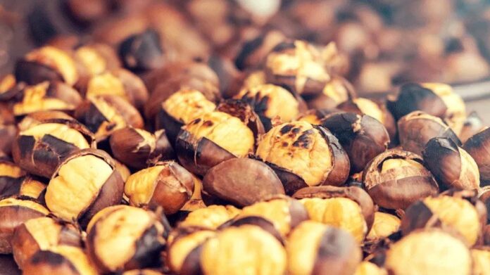 Castagne