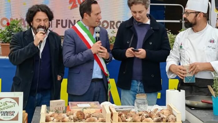 Fungo a Giaveno