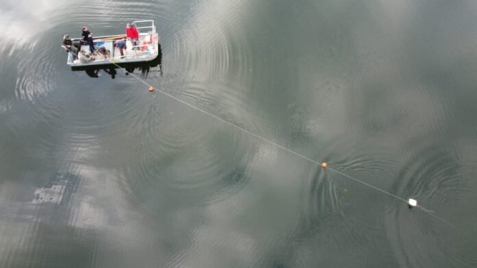 Pesca al pesce siluro